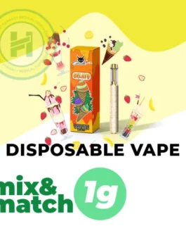 Disposable Vape 1g – Mix & Match